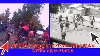 እኛ በገባን ቁጥር ኣገር ጥለው በዚህ መልኩ እየሸሹ እዚህ ደርሰናል✍️✍️✍️Digital Weyane ዲጂታል ወያነ