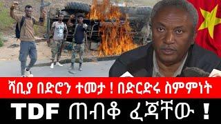 TDF በደፈጣ ፈጃቸው ! ሻቢያ በድሮን ተመታ | ድርድሩ ተኩስ አቁም | አድዋ ውቅሮ ማራይ ሀውዜን ጌታቸው ረዳ dimtsi weyane  ethiopian news