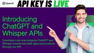 Open AI: Chat GPT API Is Live! How to use ChatGPT API KEY in Python! Tutorial