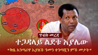 Ethiopia: ጥብቅ መረጃ - ተጋዳላይ ልደቱ አያሌው | Lidetu Ayalew | Zehabesha 12 | Feta Daily | Abel Birhanu