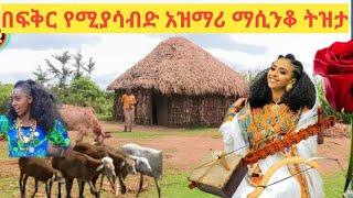 best  Ethiopian azimari music በፍቅር ክንፍ የሚያደርግ አዲስ አዝማሪ ማሲንቆ ትዝታ????❤????????