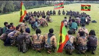 ODUU Afaan Oromo Hatattaman Amma Nu Gahe