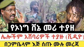 Ethiopia: ሰበር | የኦነግ ሸኔ መሪ ተያዘ | ሌሎችም አሸባሪዎች ተያዙ(ቪዲዮ| Zena Tube | Zehabesha | Ethiopia | Top mereja.