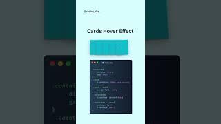 Card Hover Effect Html CSS