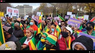 Ethiopia - ESAT ኢሳት  የኢትዮጵያውያን  የተቃውሞ ሰልፍ በዋሽንግተን ዲሲ  Sun 21 Nov 2021