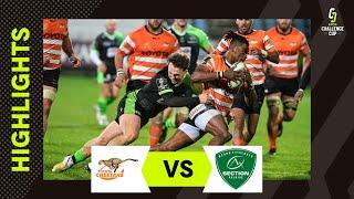 Highlights - Toyota Cheetahs v Section Paloise Rugby Round 4 │ EPCR Challenge Cup 2022/23