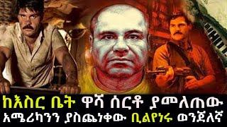 ከእስር ቤት ዋሻ ሰርቶ ያመለጠው አሜሪካንን ያስጨነቀው ቢሊየነሩ ወንጀለኛ ለማመን የሚከብድ ታሪክ Abel Birhanu የወይኗ ልጅ | አለምን ጉድ ያስባለው