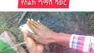 ????ስልኪ ሸሌ ሻወር ገባች | Funny Habesha Comedy Videos Ethiopian / እረኛዬ / @Seifu ON EBS  Saron tiktok new