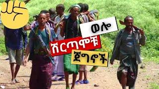 Ze-Ethiopia ሰበር | ያልተነገረላቸው የ ሰሜን ወሎ ሽርጣሞቹ ጀግኖች ጀብድ! (አፋር ትግራይ ወሎ wollo አማራ) Ethiopia ethiopian news