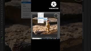 Content - Aware tool in Photoshop - Quick Remove any object from image ||David Web Tech