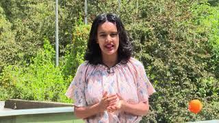 የዓለም መምህራን ቀን አከባበር በሀዋሳ - በኢትዮጵያ መምህራን ማህበር የተዘጋጀ