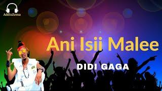 Ethiopian Music: Didi Gaga - Ani isii malee(New Ethiopian Oromo Music 2021)