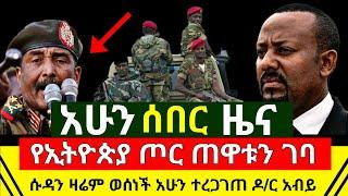 ሰበር መረጃ - የተኩስ እሩምታ ተከፈተ የኢትዮጵያ ጦር ለአንዴና ለመጨራሻ ጊዜ ጀመረ | ሱዳን ወሰነች ዛሬ ጠዋት ኢትዮጵያ ዶ/ር አብይ | Abel Birhanu