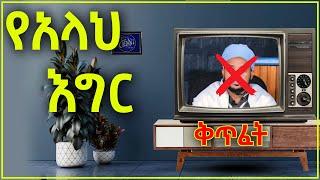 የአላህ እግር ትልቅ ነው?! ለቀጣፊው አሕባሽ የተሰጠ መልስ #halal_media #new_neshida donkeytube