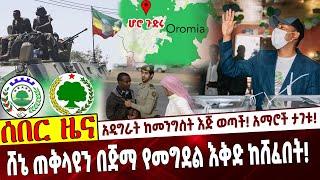 አዲግራት ከመንግስት እጅ ወጣች❗️  አማሮች ታገቱ❗️  ሸኔ ጠቅላዩን በጅማ የመግደል እቅድ ከሸፈበት❗️ #Ethiopia | Adigrat | Amhara |Abiy