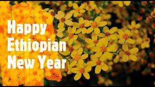 Ethiopian New Year Music Collection | የአዲስ ዓመት ሙዚቃዎች ስብስብ