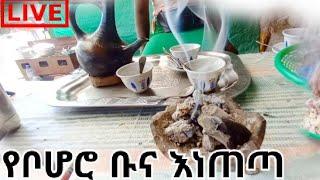 #ቡና እንጠጣ!! የመርሳ ቦሆሮ ቡናመጠጣት ለናፈቃችሁ አርሂብ ብለናል እንጋብዛችሁ!!!