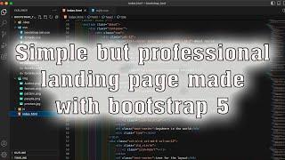 Simple but professional landing page made with bootstrap 5