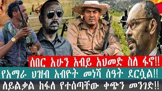 ZeEthiopia |????ሰበር አሁን አብይ አህመድ ስለ ፋኖ!ለይልቃል ከፋለ የተሰጣቸው ቀጭን መንገድ#abiyahded#zehabesha#FetaDaily#fanno