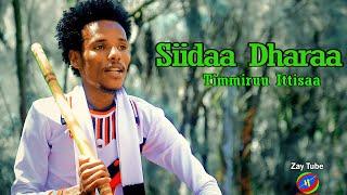 Tammiruu Ittisaa - Siidaa Dharaa - New Ethiopian Music - Oromo cultural video - 2023.