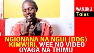 NGIONANA NA NGUI (DOG) KIMWIRI, WEE NO VIDEO OYAGA NA THIMU YAKE