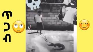 ጥጋብ ???? | Funny Tiktok Videos | 4u | yebeteseb chewata | የቤተሰብ ጨዋታ