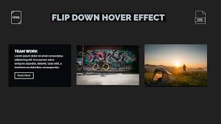 Flip Down On Hover Effect Using By HTML5 And CSS3 | CodeExpress