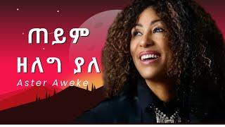 Aster Aweke Instrumental Cover Teyim Zeleg yale | Ethiopian Song