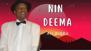 NIn Deema Instrumental Cover Ali BIrra Oromo best song