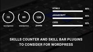 Responsive Skill section design using HTML and CSS